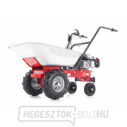 EUROSYSTEMS CARRY RATO 170 motoros kerék EUROSYSTEMS CARRY RATO 170 motoros kerék náhled