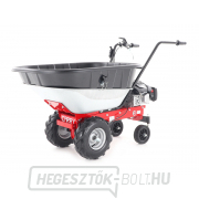 EUROSYSTEMS CARRY RATO 170 motoros kerék EUROSYSTEMS CARRY RATO 170 motoros kerék náhled