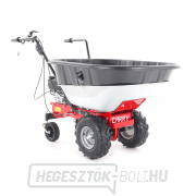 EUROSYSTEMS CARRY RATO 170 motoros kerék EUROSYSTEMS CARRY RATO 170 motoros kerék náhled