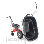 EUROSYSTEMS CARRY RATO 170 motoros kerék EUROSYSTEMS CARRY RATO 170 motoros kerék náhled