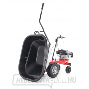 EUROSYSTEMS CARRY RATO 170 motoros kerék EUROSYSTEMS CARRY RATO 170 motoros kerék náhled