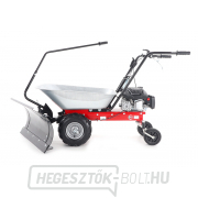 EUROSYSTEMS CARRY Hóeke náhled