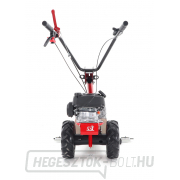 Fűnyíró EUROSYSTEMS M210 RATO 170 Fűnyíró EUROSYSTEMS M210 RATO 170 náhled