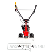 EUROSYSTEMS P70 hátsó kultivátor (GÉP NÉLKÜL EUROSYSTEMS P70 EVO Loncin 224) Előnézet 