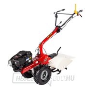 EUROSYSTEMS P70 hátsó kultivátor (GÉP NÉLKÜL EUROSYSTEMS P70 EVO Loncin 224) náhled
