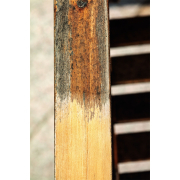 Scheppach Nylon csiszolókefe MRS 1300-hoz  Előnézet 