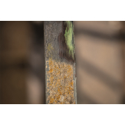 Scheppach acél drótkefe MRS 1300-hoz  Előnézet 