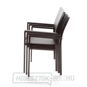 ELBA elnök  náhled