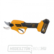 Riwall PRO RAP 3020i SET akkumulátoros leágazó olló 20 V kefe nélküli motorral + 2Ah akkumulátor + töltő Riwall PRO RAP 3020i SET akkumulátoros leágazó olló 20 V kefe nélküli motorral + 2Ah akkumulátor + töltő náhled