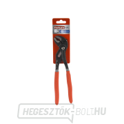 Fogó állítható,245mm Előnézet 