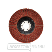 Nem szőtt lamellás csiszolótárcsa szatináló gépekhez 125 mm x 22,2 (10/100) Előnézet 