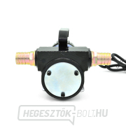 Üzemanyag-/olajszivattyú 230V (6) Előnézet 