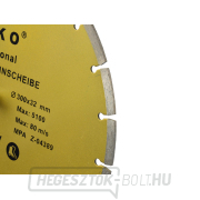 Tárcsa átmérője 300x8x32mm, GEKO szegmens (10) Előnézet 