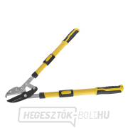 Teleszkópos ágvágó olló 650-975 mm, üllő, csuklós, PP+TPR nyél (6 db) Előnézet 