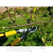 Teleszkópos ágvágó olló 650-975 mm, PP+TPR nyéllel (6 db) náhled