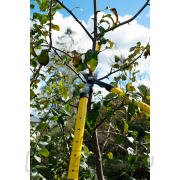 Teleszkópos ágvágó olló 650-975 mm, PP+TPR nyéllel (6 db) náhled