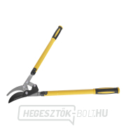 Teleszkópos ágvágó ollók 675-1025 mm, csuklós (6) Előnézet 