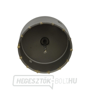 Betonvágó 120 mm SDS PLUS (10/20) Előnézet 