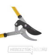 Csuklós ágvágó olló 700 mm (6) náhled