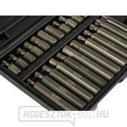 Bitkészlet torx 41 műhely GEKO, CrV acél, műanyag doboz Bitkészlet torx 41 műhely GEKO, CrV acél, műanyag doboz náhled