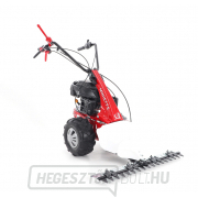 EUROSYSTEMS rúdkasza - MINIEFFE EUROSYSTEMS rúdkasza - MINIEFFE náhled