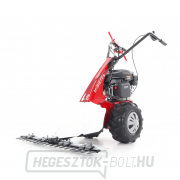 EUROSYSTEMS rúdkasza - MINIEFFE EUROSYSTEMS rúdkasza - MINIEFFE náhled