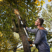 Riwall PRO RAHS 1820i akkus kézi láncfűrész 20 V kefe nélküli motorral (akkumulátor és töltő nélkül) Előnézet 