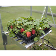 Palram - Canopia Fém polc  Előnézet 