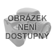Riwall PRO RMSA 6x8 Barna fém kerti ház 2,4 x 1,7 m nyeregtetős barna náhled