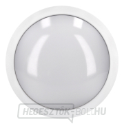 Solight LED kültéri világítás Siena, fehér, 20W, 1500lm, 4000K, IP54, 23cm Előnézet 