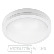 Solight LED kültéri világítás Siena, fehér, 20W, 1500lm, 4000K, IP54, 23cm gallery main image