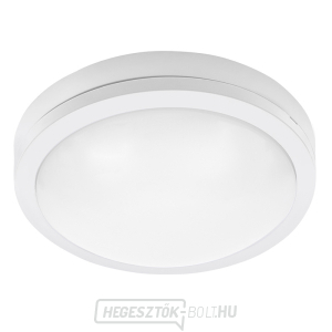 Solight LED kültéri világítás Siena, fehér, 20W, 1500lm, 4000K, IP54, 23cm gallery main image