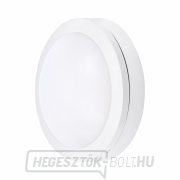 Solight LED kültéri világítás Siena, fehér, 13W, 910lm, 4000K, IP54, 17cm Előnézet 