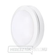 Solight LED kültéri világítás Siena, fehér, 13W, 910lm, 4000K, IP54, 17cm Előnézet 
