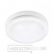 Solight LED kültéri világítás Siena, fehér, 13W, 910lm, 4000K, IP54, 17cm gallery main image