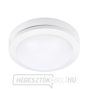 Solight LED kültéri világítás Siena, fehér, 13W, 910lm, 4000K, IP54, 17cm Solight LED kültéri világítás Siena, fehér, 13W, 910lm, 4000K, IP54, 17cm gallery main image