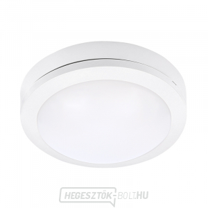 Solight LED kültéri világítás Siena, fehér, 13W, 910lm, 4000K, IP54, 17cm gallery main image