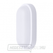 Solight LED kültéri világítás ovális, 20W, 1500lm, 4000K, IP54, 26cm gallery main image