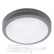 Solight LED kültéri világítás Siena, szürke, 20W, 1500lm, 4000K, IP54, 23cm gallery main image