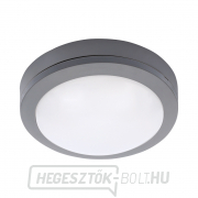 Solight LED kültéri világítás Siena, szürke, 13W, 910lm, 4000K, IP54, 17cm gallery main image