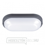 Solight LED kültéri világítás ovális, 20W, 1500lm, 4000K, IP54, 26cm, szürke színű Előnézet 