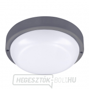 Solight LED kültéri világítás kerek, 20W, 1500lm, 4000K, IP54, 20cm, szürke színű Előnézet 