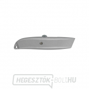 Fix pengéjű kés, fém | 04-03-1519 Előnézet 