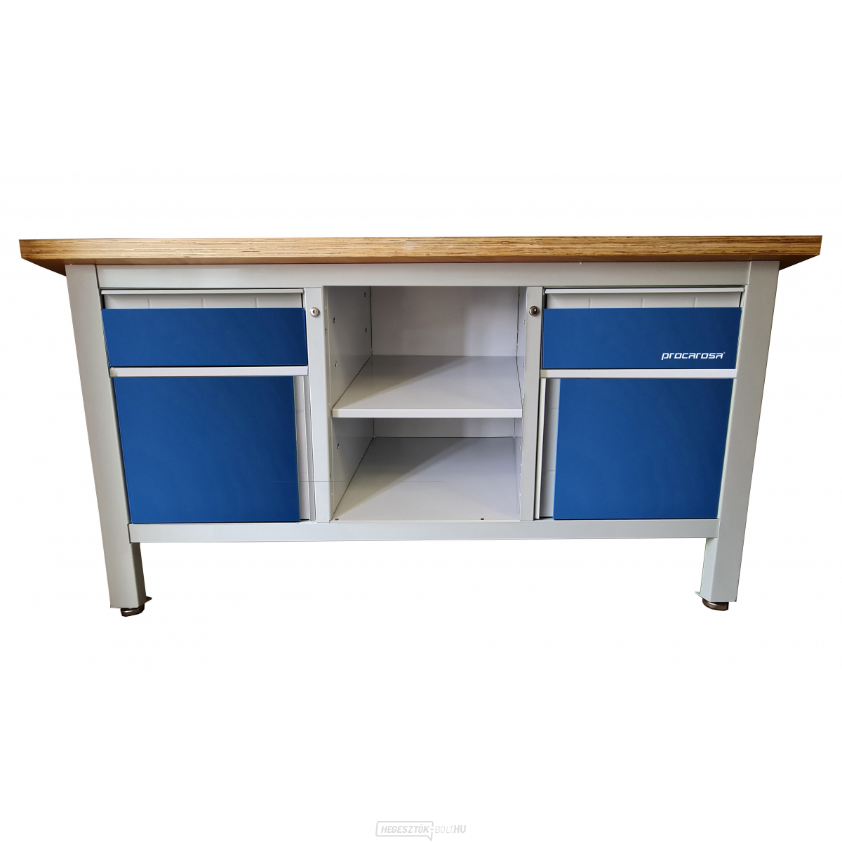 Workshop ponk Procarosa PROFI221