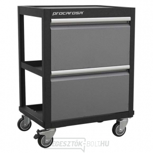 Procarosa PROFI TGC-13 műhelydoboz Procarosa PROFI TGC-13 műhelydoboz gallery main image