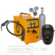 Gamastar 196 LS Synergy + égő + szelep + burkolat + Co2 palack gallery main image