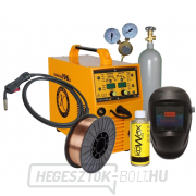 Gamastar 196 LS Synergie + égő + szelep + burkolat + Co2 palack + spray + huzal gallery main image