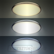Solight LED mennyezeti lámpa Ezüst, kerek, 24W, 1800lm, szabályozható, távirányítós, 38cm Előnézet 