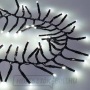 Solight LED kültéri karácsonyi lánc távirányítóval - Fürt, 576 LED, 8 funkció, időzítő, IP44, hideg fehér Előnézet 