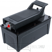 Pneumatikus/hidraulikus aggregátum | 689 bar/10 000 psi BGS 1609 Előnézet 